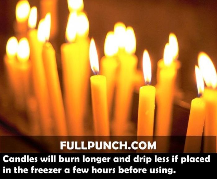 Yet Another Selection of Facts (44 pics)