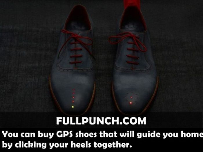 Yet Another Selection of Facts (44 pics)