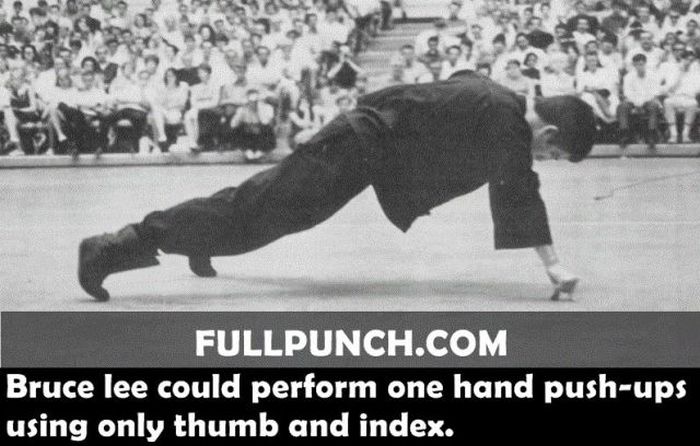 Yet Another Selection of Facts (44 pics)