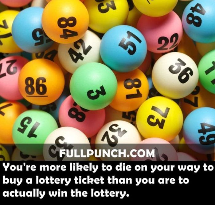 Yet Another Selection of Facts (44 pics)