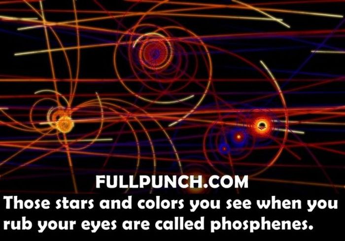 Yet Another Selection of Facts (44 pics)