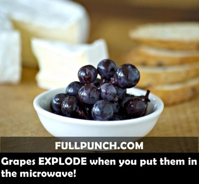 Yet Another Selection of Facts (44 pics)
