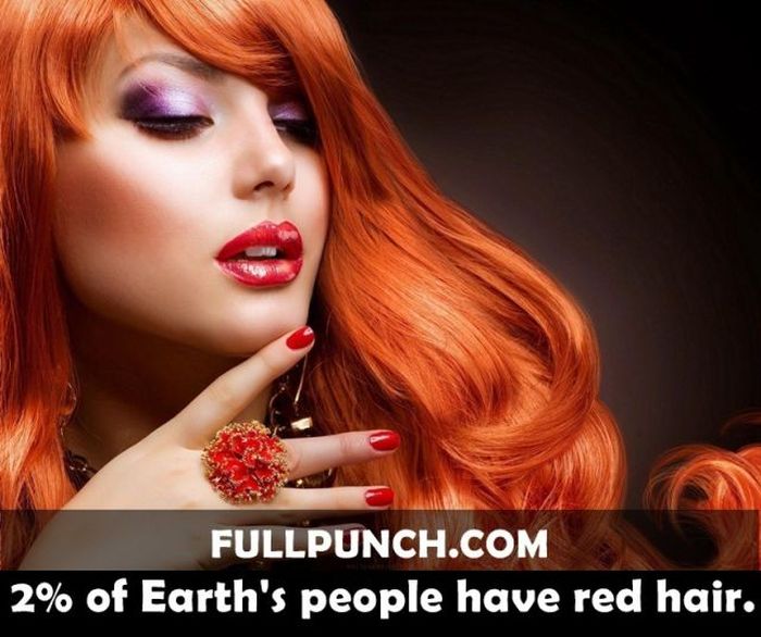 Yet Another Selection of Facts (44 pics)