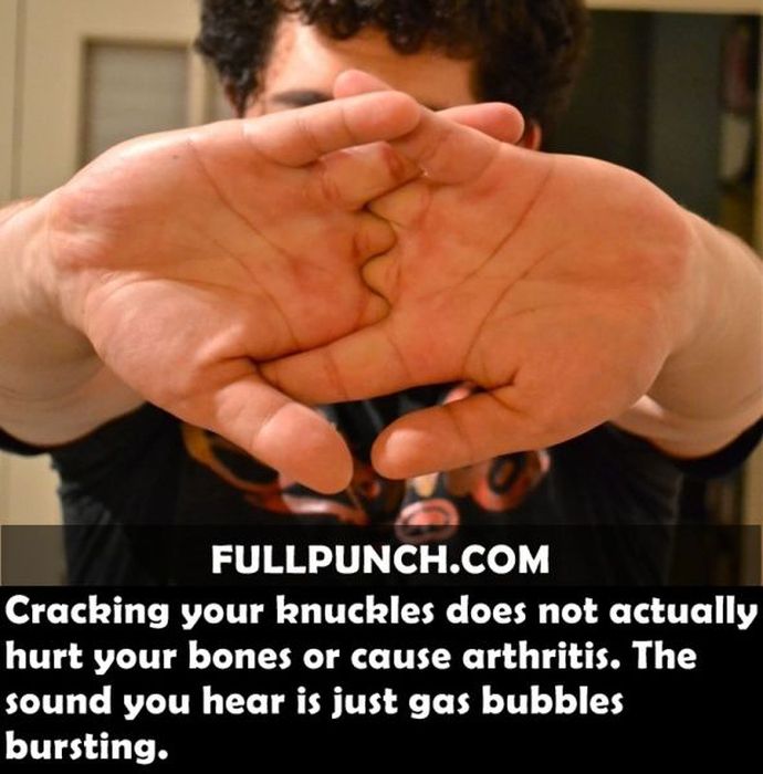 Yet Another Selection of Facts (44 pics)