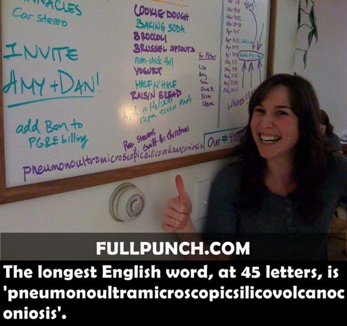 Yet Another Selection of Facts (44 pics)