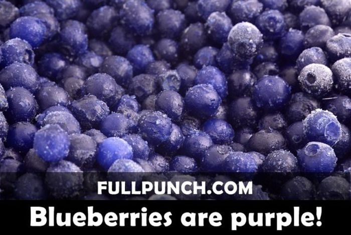 Yet Another Selection of Facts (44 pics)