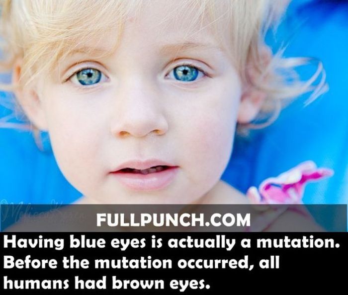Yet Another Selection of Facts (44 pics)