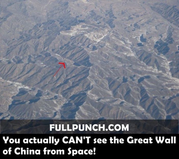 Yet Another Selection of Facts (44 pics)