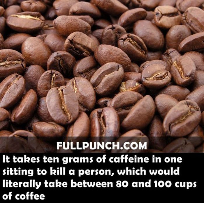 Yet Another Selection of Facts (44 pics)