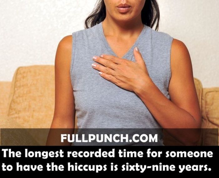 Yet Another Selection of Facts (44 pics)