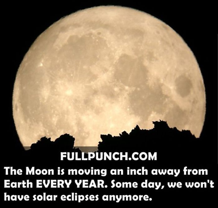 Yet Another Selection of Facts (44 pics)