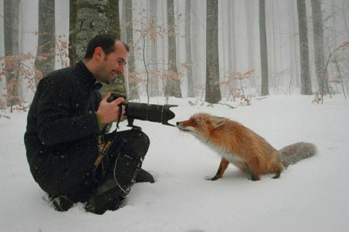 What It Takes to Be a Photographer (40 pics)
