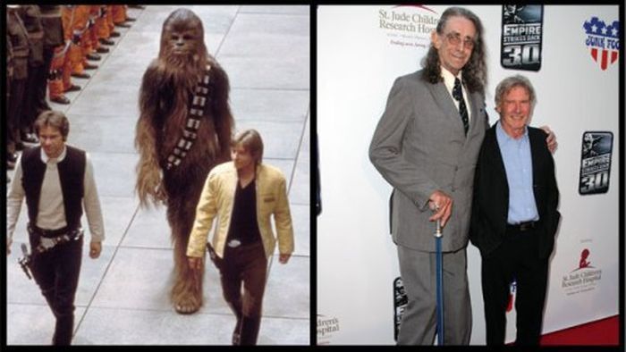 Star Wars Actors Then And Now 15 Pics