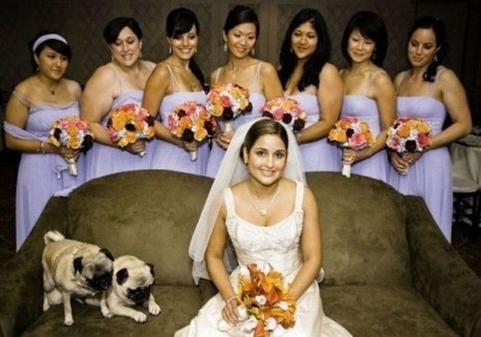Wedding Photobombs (47 pics)