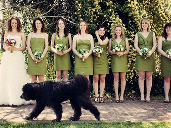 Wedding Photobombs (47 pics)