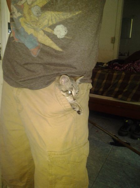 Acid Picdump (95 pics)