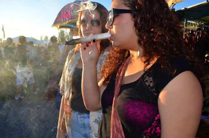2013 Seattle Hempfest (34 pics)