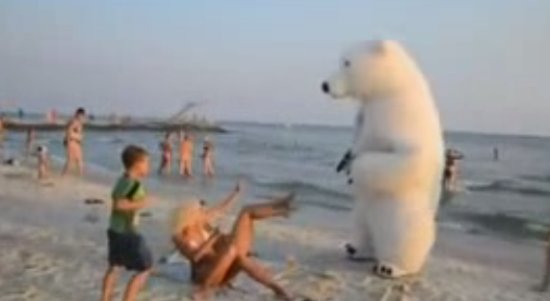 Polar Bear Trolling Girls on The Beach