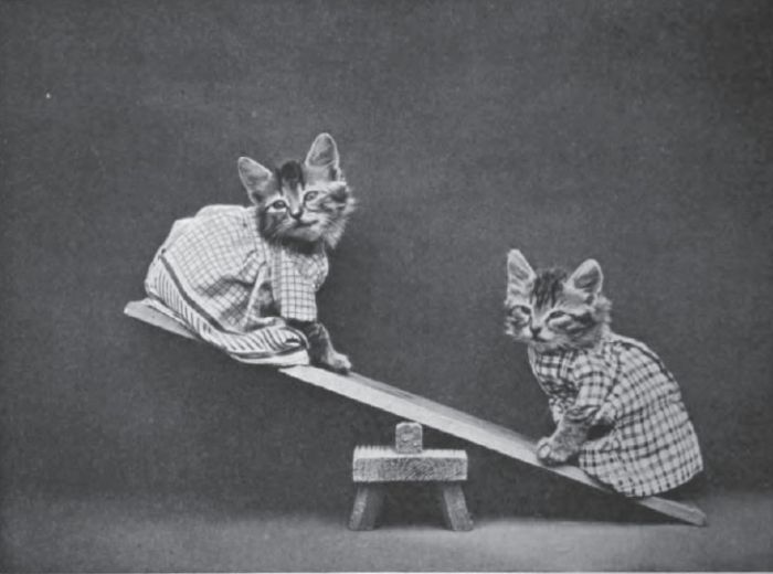 Cat and Dog Photos Taken Nearly a Century Ago (37 pics)