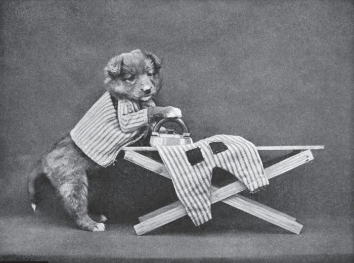 Cat and Dog Photos Taken Nearly a Century Ago (37 pics)