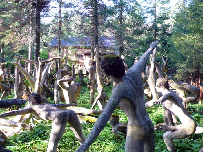 Creepy Forest in Finland (56 pics)