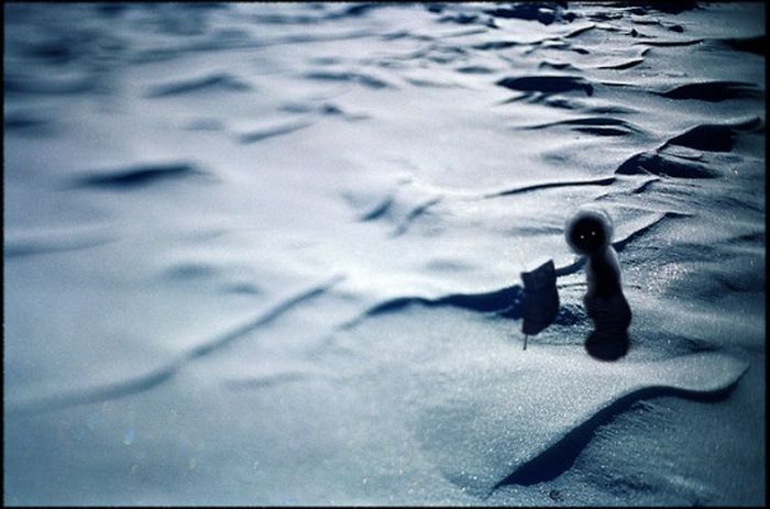 Great Photo Manipulations (35 pics)