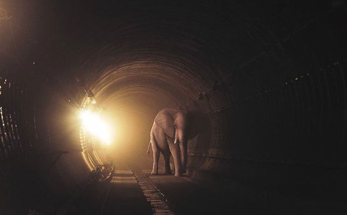 Great Photo Manipulations (35 pics)