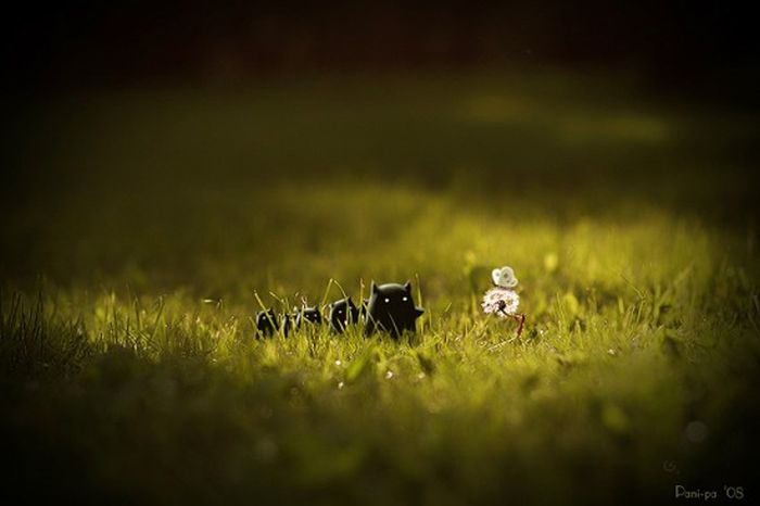 Great Photo Manipulations (35 pics)