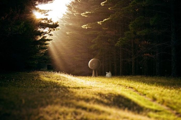 Great Photo Manipulations (35 pics)