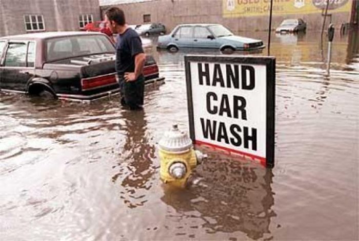 Odd Things on the Road (35 pics)