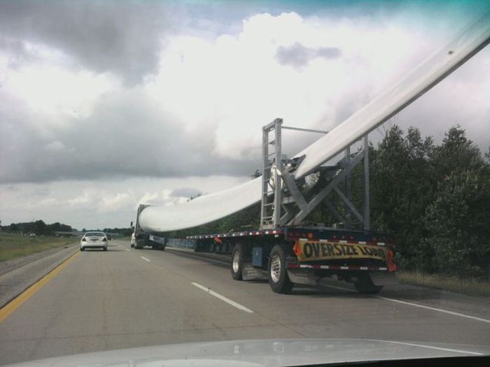 Odd Things on the Road (35 pics)