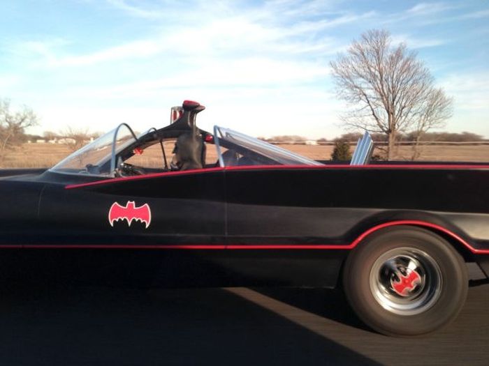 Odd Things on the Road (35 pics)