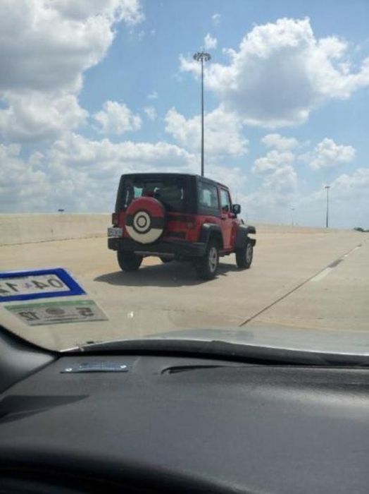 Odd Things on the Road (35 pics)