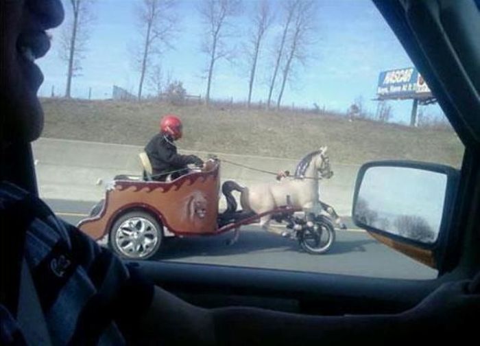 Odd Things on the Road (35 pics)