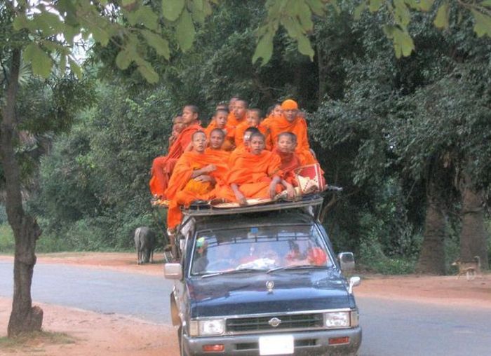 Odd Things on the Road (35 pics)