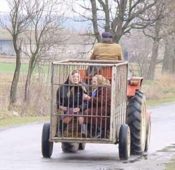 Odd Things on the Road (35 pics)
