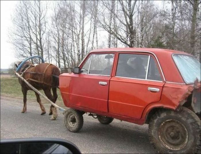 Odd Things on the Road (35 pics)