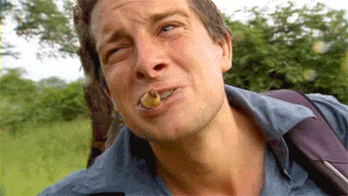 When Nature is Disgusting (20 gifs)