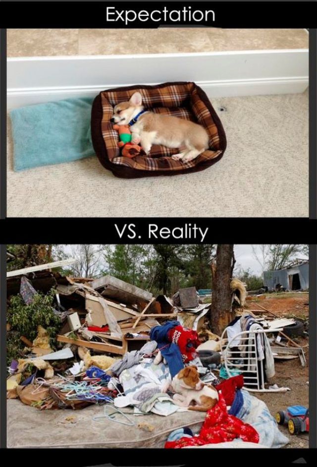 Expectation vs Reality (27 pics)
