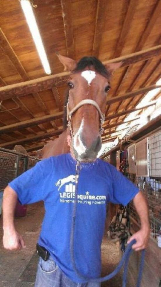 Very Good Photobombs (37 pics)