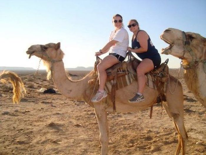 Very Good Photobombs (37 pics)