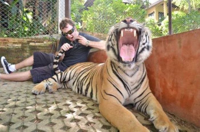 Very Good Photobombs (37 pics)