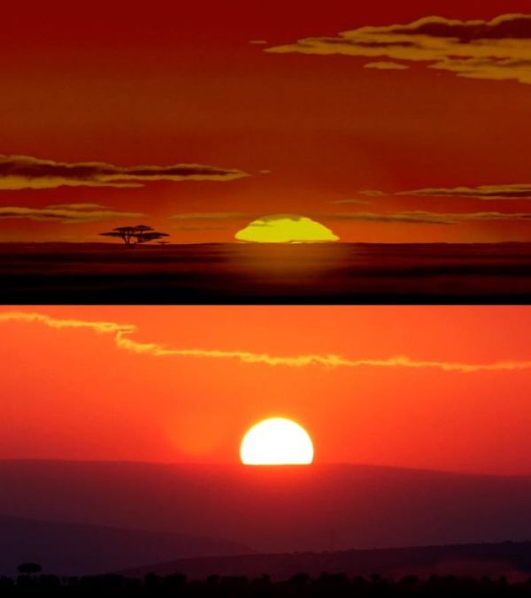 The Lion King in Real Life (9 pics)