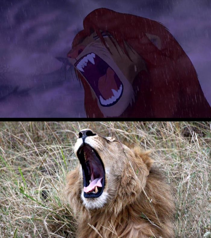The Lion King in Real Life (9 pics)