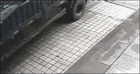 Idiots Fighting Things (20 gifs)