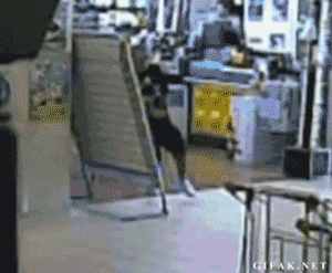 Idiots Fighting Things (20 gifs)