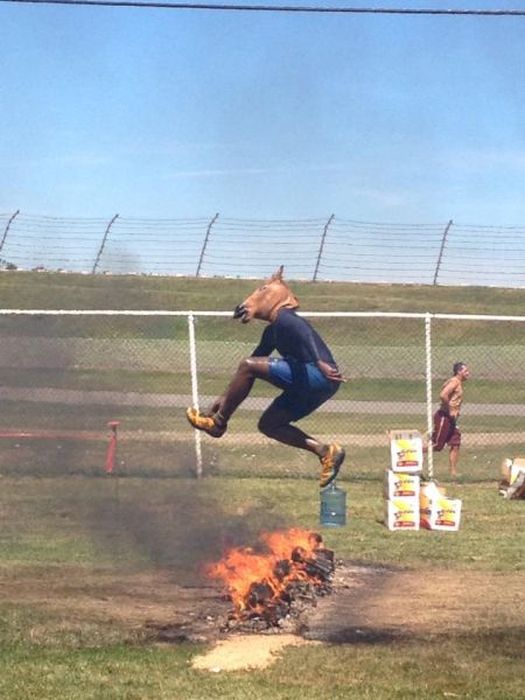 Acid Picdump (119 pics)