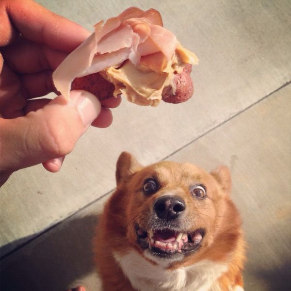 Acid Picdump (119 pics)