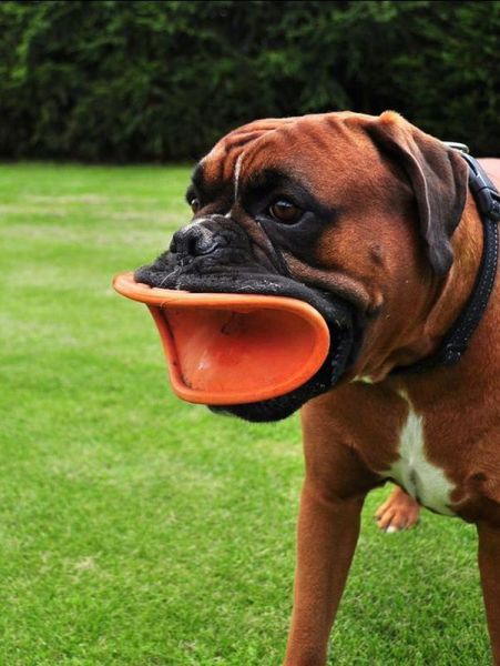 Acid Picdump (119 pics)