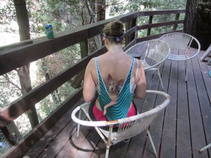 Acid Picdump (119 pics)